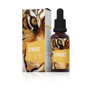 Gynevet