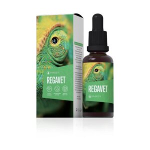 Regavet