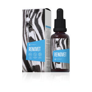 Renovet